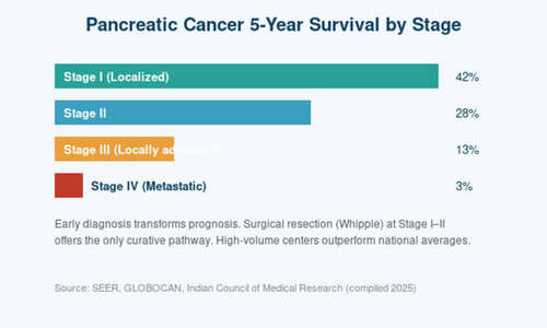 Pancreatic Cancer Survival Rate in India What the Numbers Really Mean